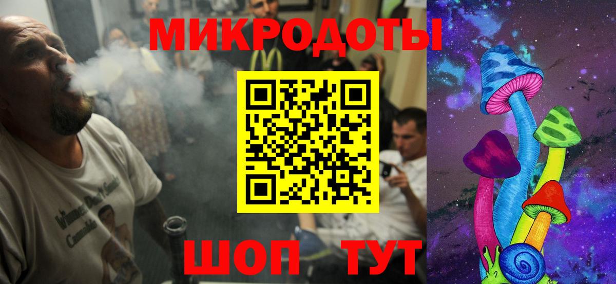 Псилоцибиновые грибы Psilocybe Артёмовский